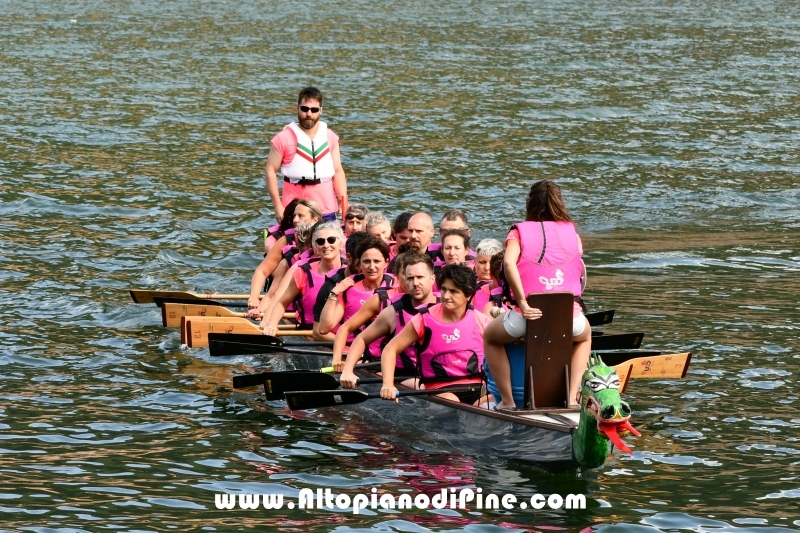 Dragon Festival 2019 - Baselga di Pine'