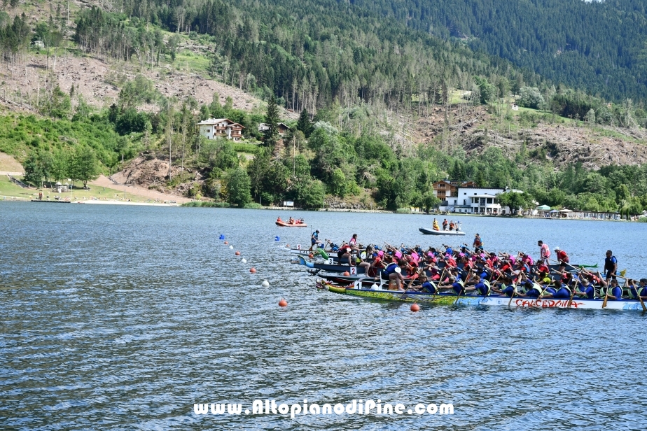 Dragon Festival 2019 - Baselga di Pine'