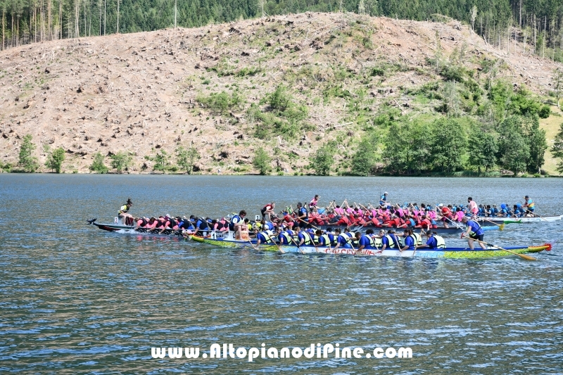Dragon Festival 2019 - Baselga di Pine'