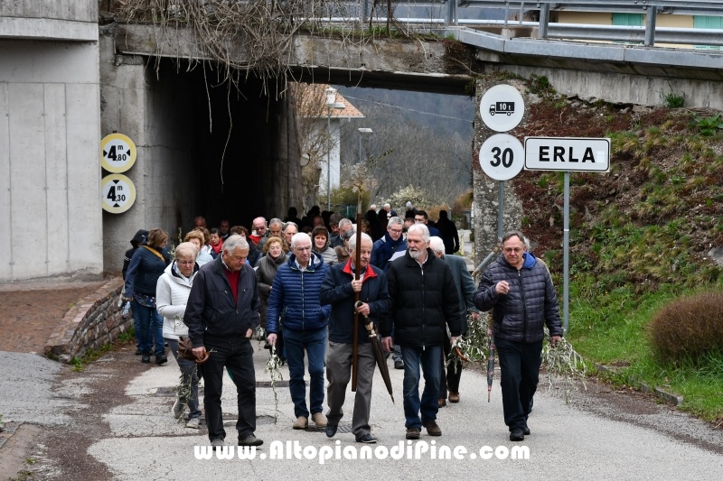 Domenica delle Palme 2019