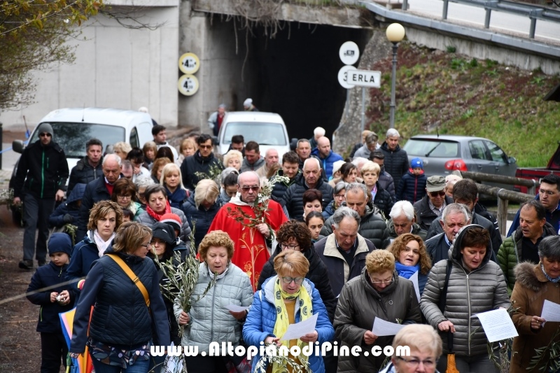 Domenica delle Palme 2019