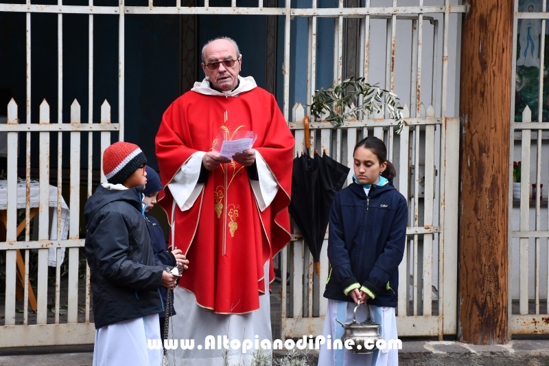 Domenica delle Palme 2019