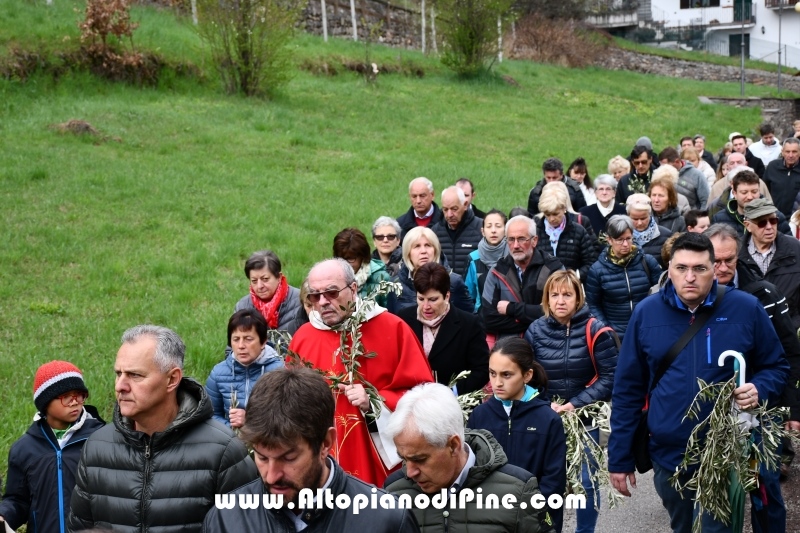 Domenica delle Palme 2019