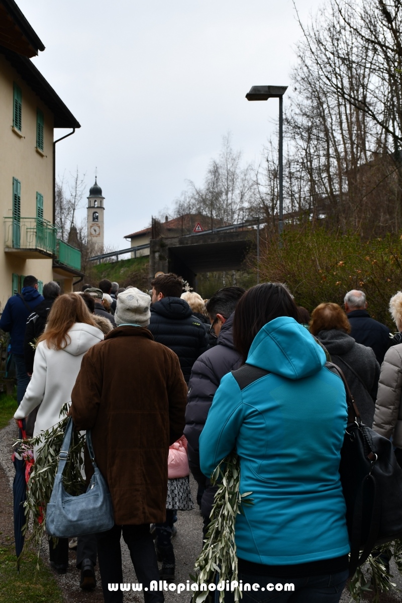 Domenica delle Palme 2019