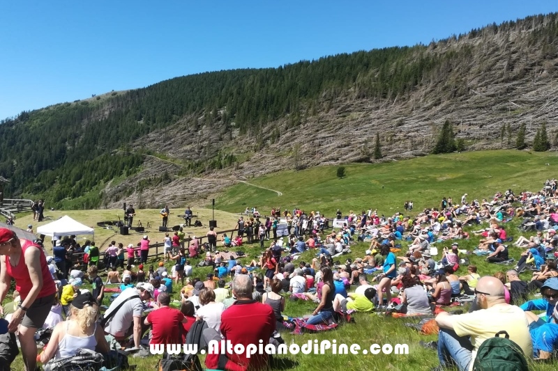 Malga Cambroncoi - Lagorai d'incanto 2019