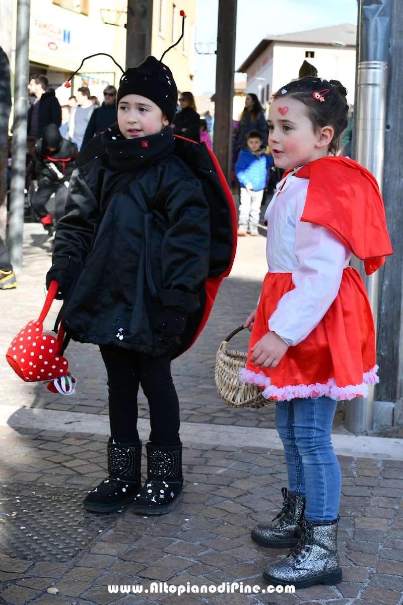 Pineé - Carnevale 2020 