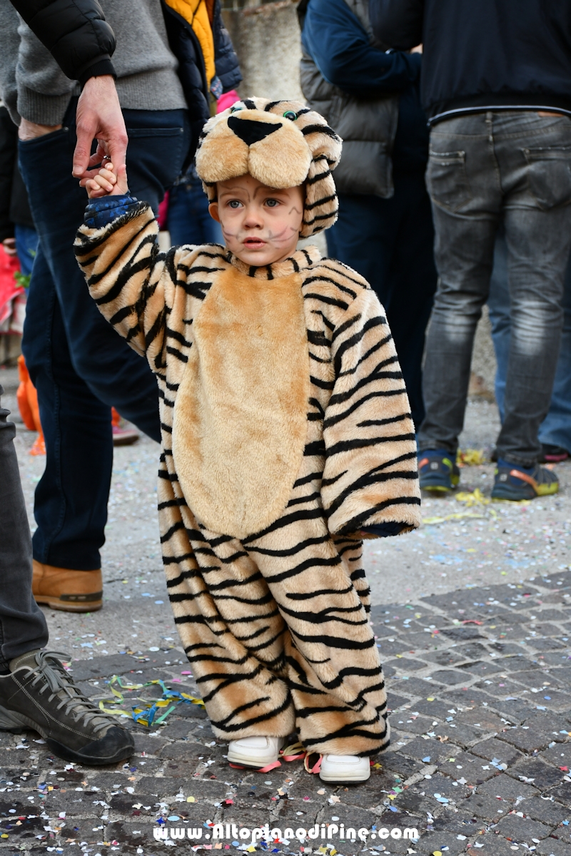 Pineé - Carnevale 2020 