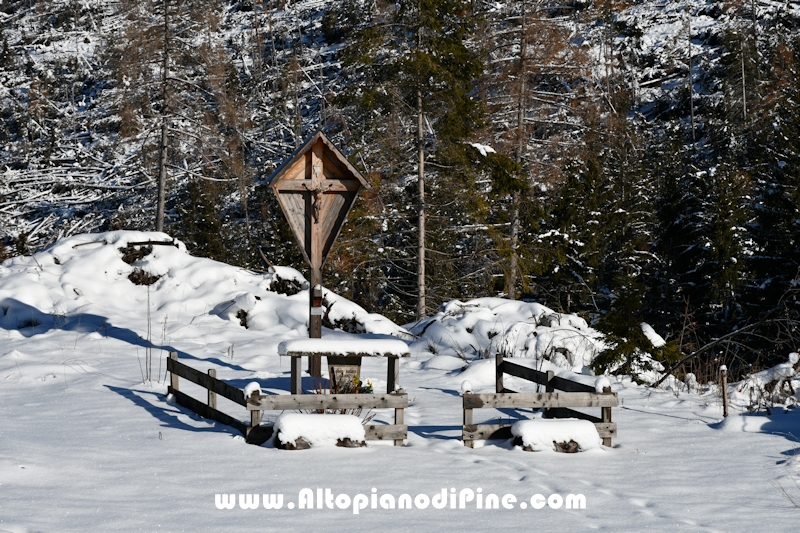 Lavori di ripristino pineta e area di Bedolpian - dicembre2020