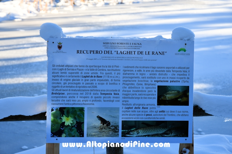 Lavori di ripristino pineta e area di Bedolpian - dicembre2020