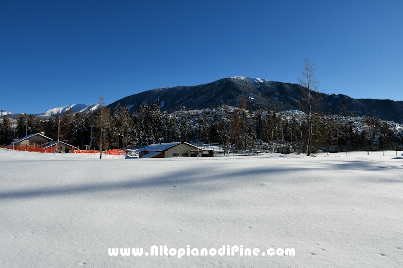 Lavori di ripristino pineta e area di Bedolpian - dicembre2020