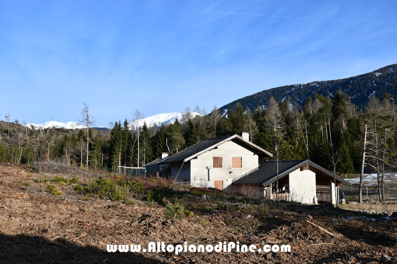 Lavori nel bosco di Bedolpian - gennaio 2020