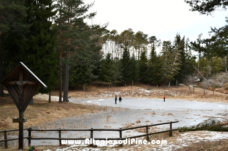 Lavori nel bosco di Bedolpian - gennaio 2020