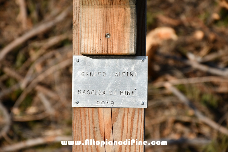 Lavori nel bosco di Bedolpian - gennaio 2020