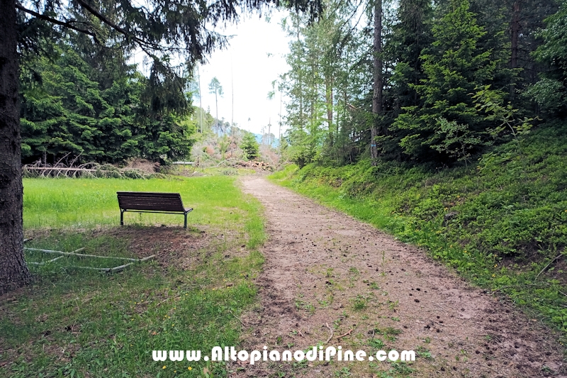 Lavori nel bosco di Bedolpian - giugno 2020