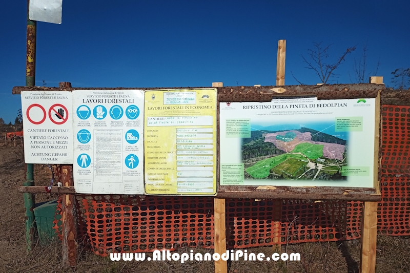 Lavori di ripristino pineta e area di Bedolpian - novembre2020