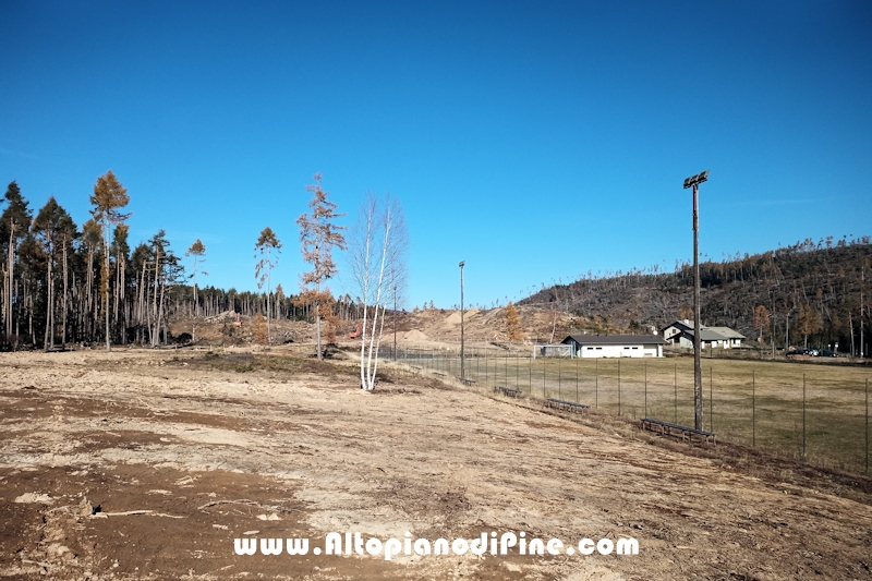 Lavori di ripristino pineta e area di Bedolpian - novembre2020