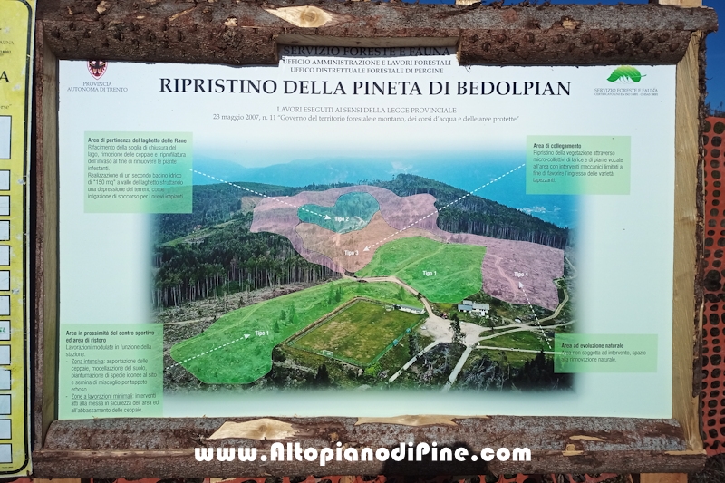 Lavori di ripristino pineta e area di Bedolpian - novembre2020