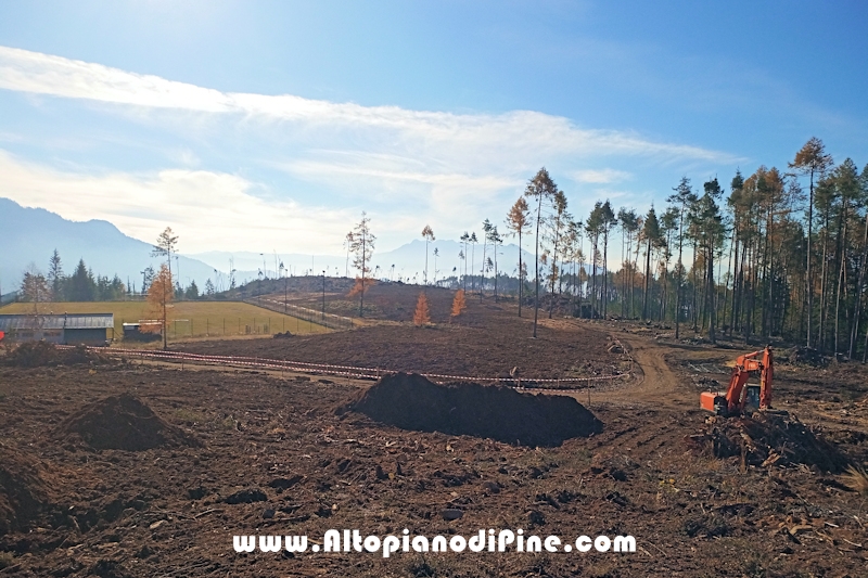 Lavori di ripristino pineta e area di Bedolpian - novembre2020