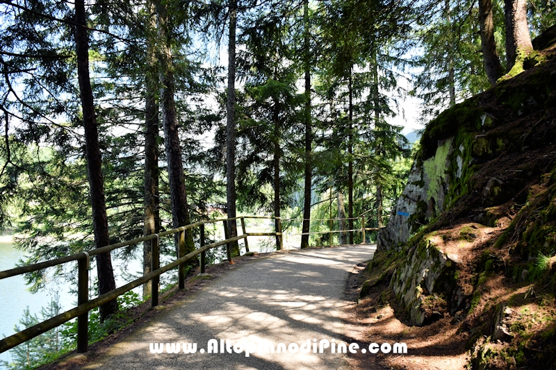 Passeggiata attorno ai laghi di Serraia e Piazze