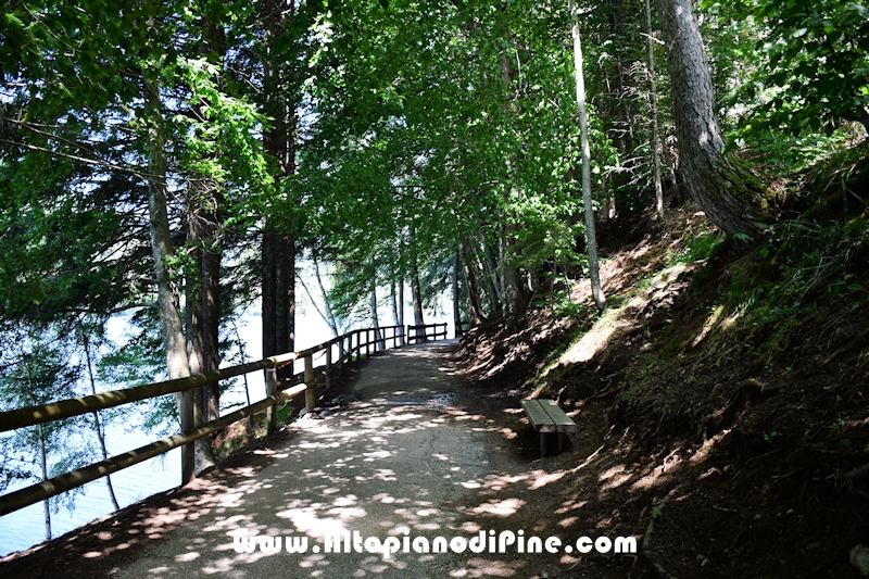 Passeggiata attorno ai laghi di Serraia e Piazze