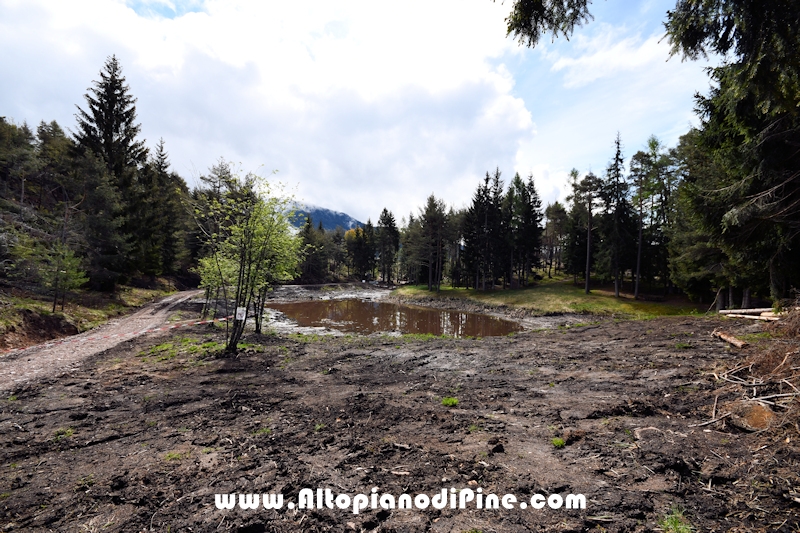 Lavori di ripristino pineta e area di Bedolpian - maggio 2021
