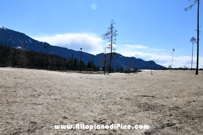 Lavori di ripristino pineta e area di Bedolpian - marzo 2021