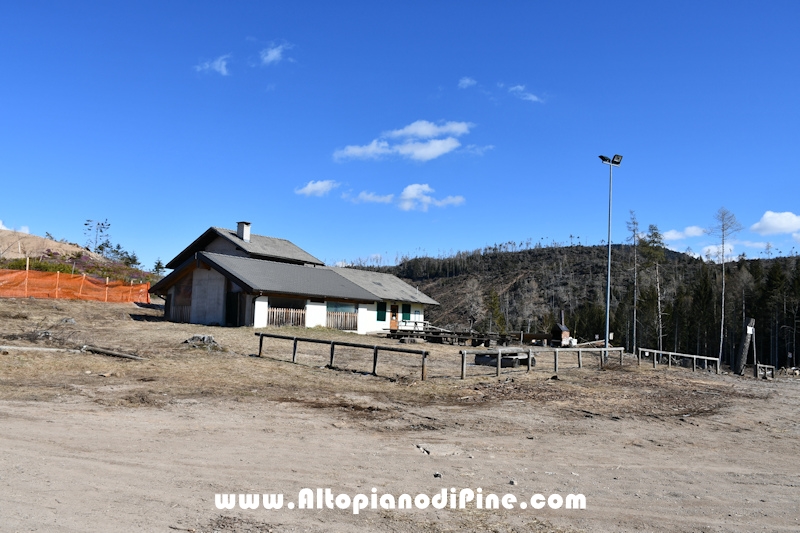 Lavori di ripristino pineta e area di Bedolpian - marzo 2021