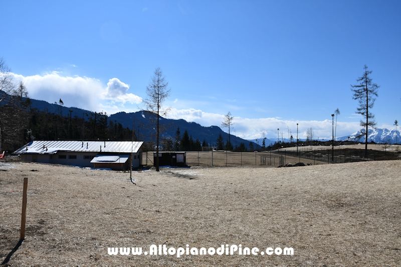 Lavori di ripristino pineta e area di Bedolpian - marzo 2021
