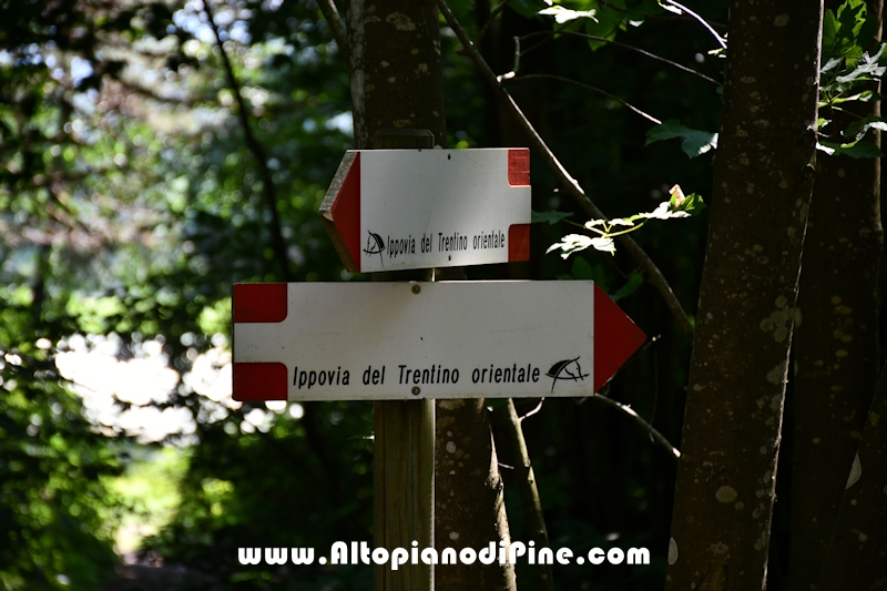 Giro del biotopo del Laghestel