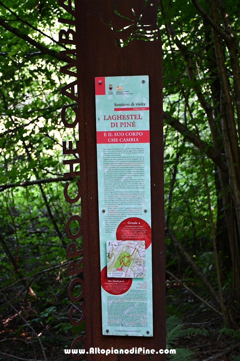 Giro del biotopo del Laghestel