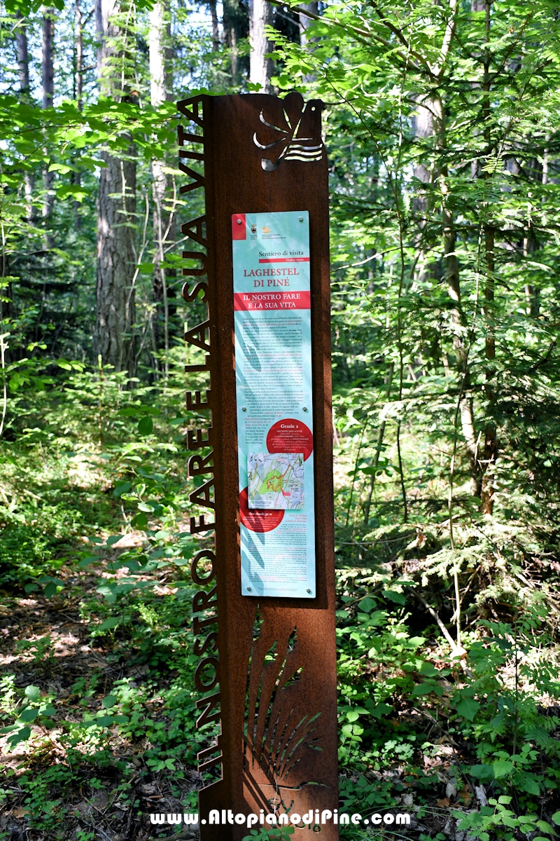 Giro del biotopo del Laghestel