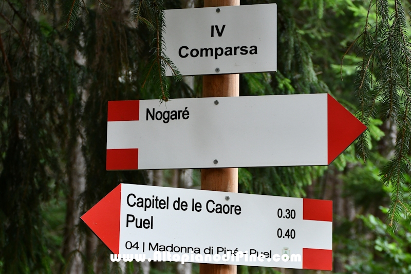 Passeggiata Ferrari - Quarta Comparsa