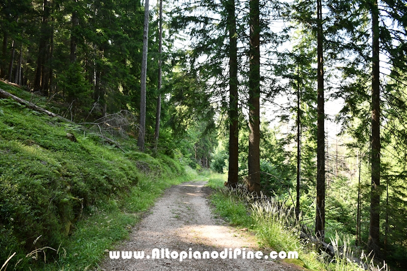 Giro di Bedolpian