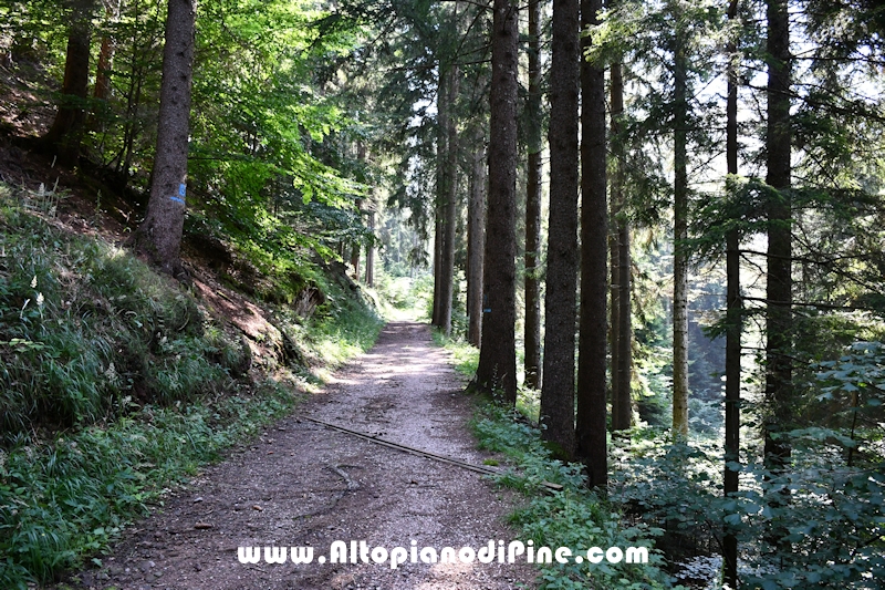 Giro di Bedolpian