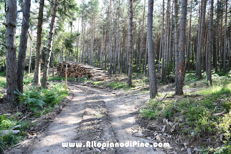 Giro di Bedolpian