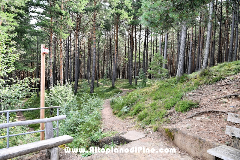 Giro di Bedolpian