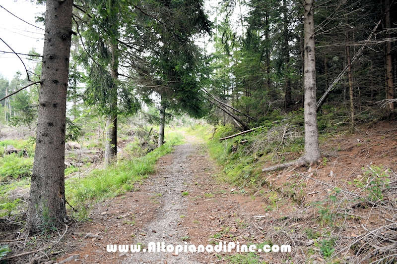 Giro di Bedolpian