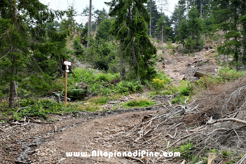 Giro di Bedolpian