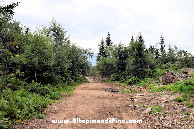 Giro di Bedolpian