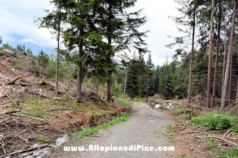 Giro di Bedolpian