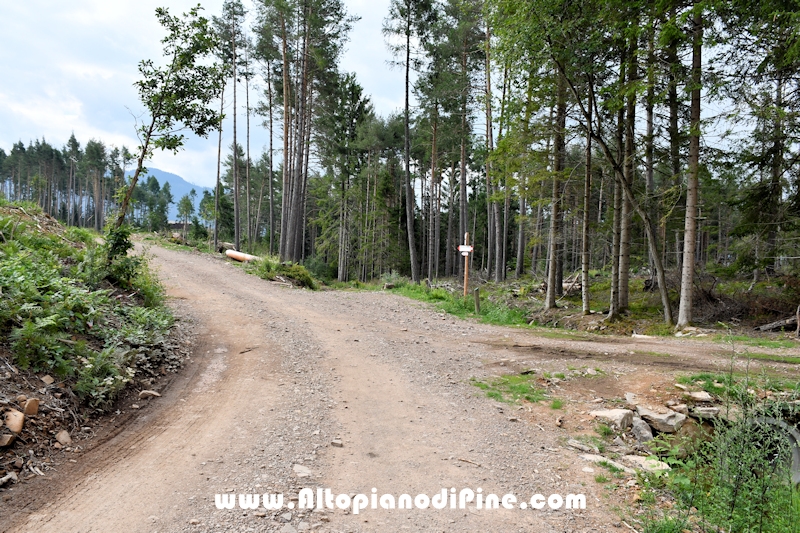 Giro di Bedolpian