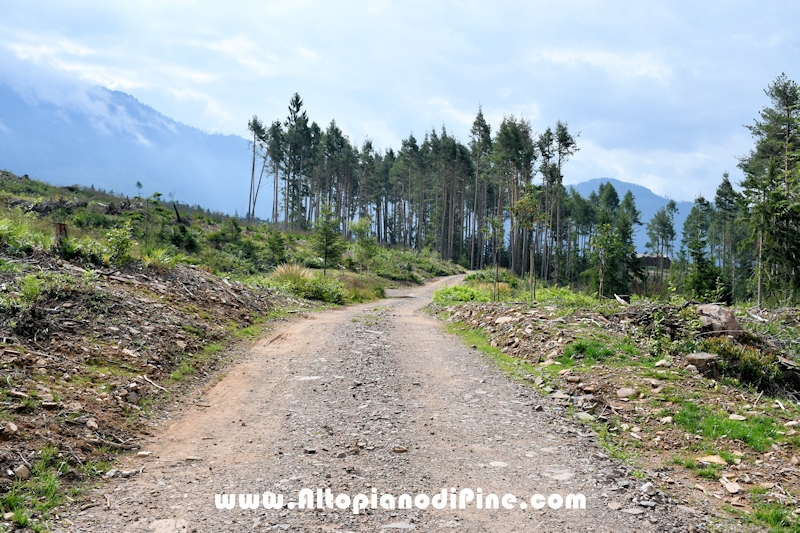 Giro di Bedolpian