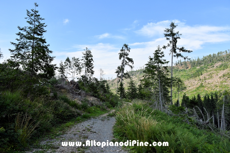 Giro di Bedolpian