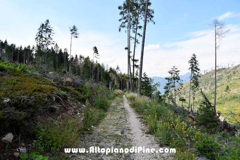 Giro di Bedolpian