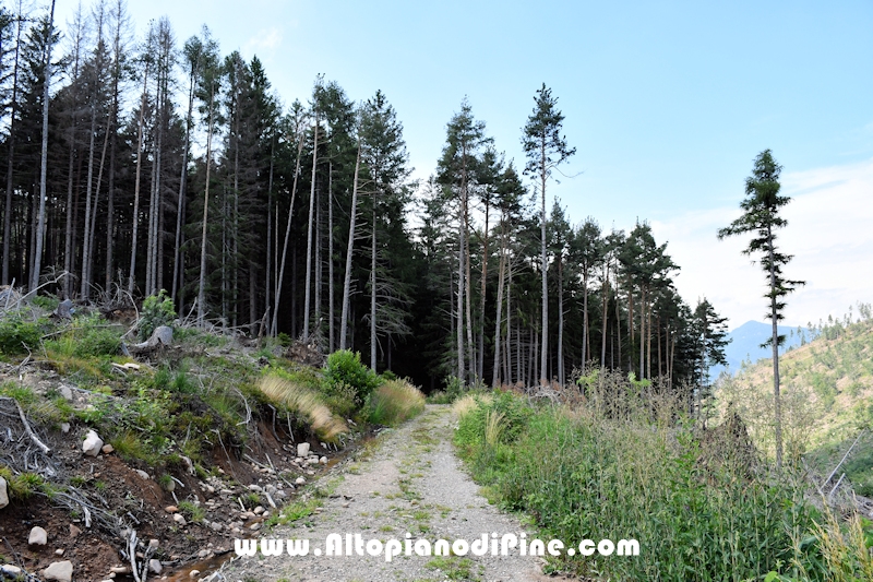 Giro di Bedolpian