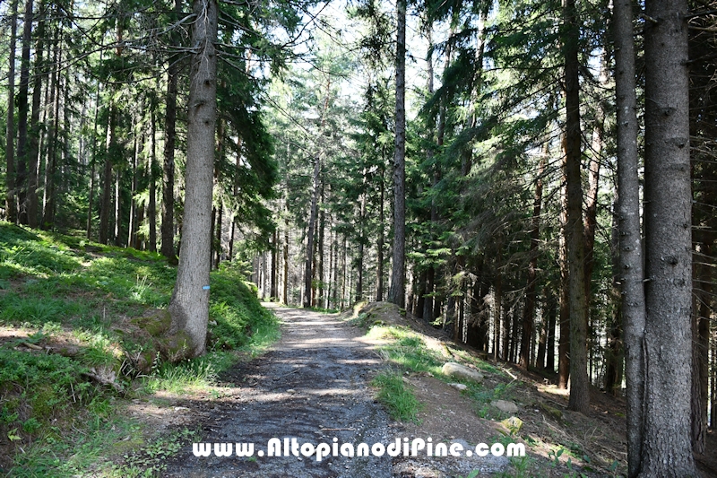 Giro di Bedolpian