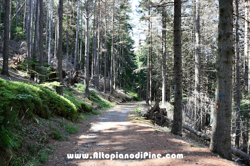 Giro di Bedolpian