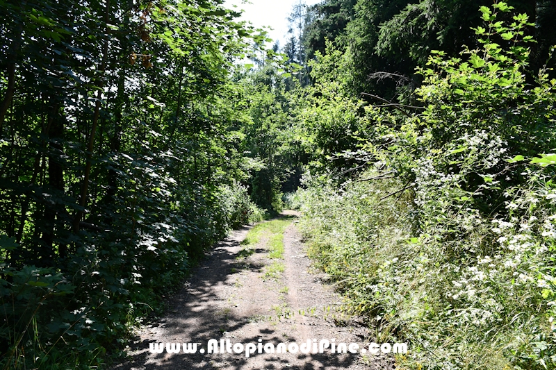 Giro del biotopo del Laghestel