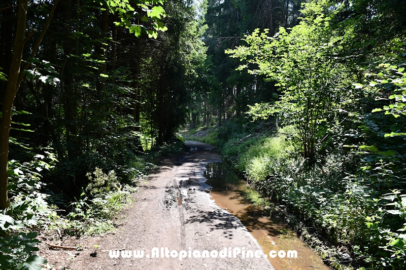 Giro del biotopo del Laghestel
