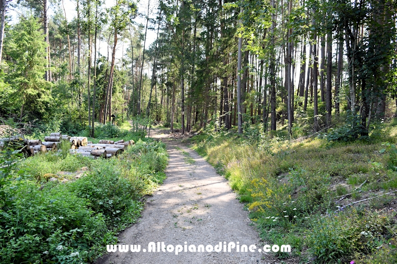 Giro del biotopo del Laghestel